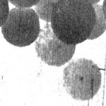 Al Mingalone 1937