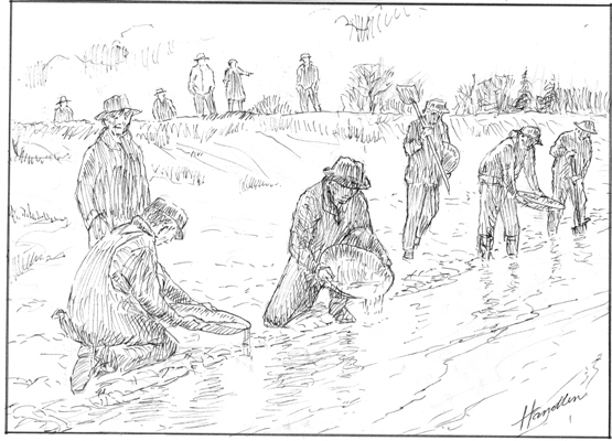 A stampede to frustration