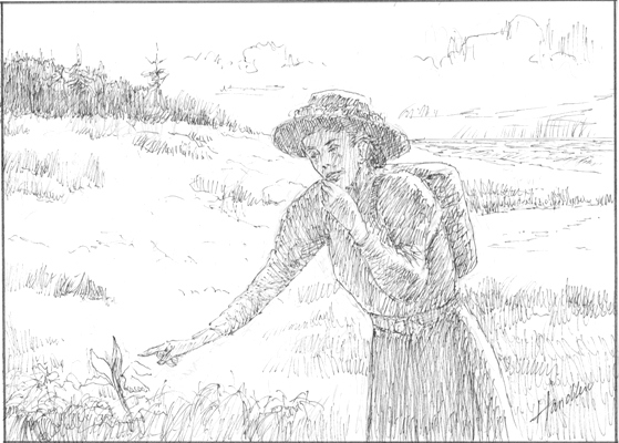 With practiced botanical eye she roamed